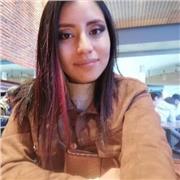 Estudiante de derecho de último semestre ofrece clases particulares de refuerzo y guía en la realización de trabajos, a alumnos desde transición hasta grado once en Bogotá